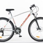 Lince Blanca WEB-1