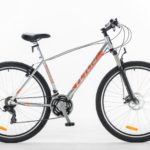 Lince Plata WEB-3