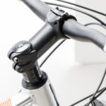 Lince detalles WEB-11