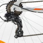 Lince detalles WEB-2