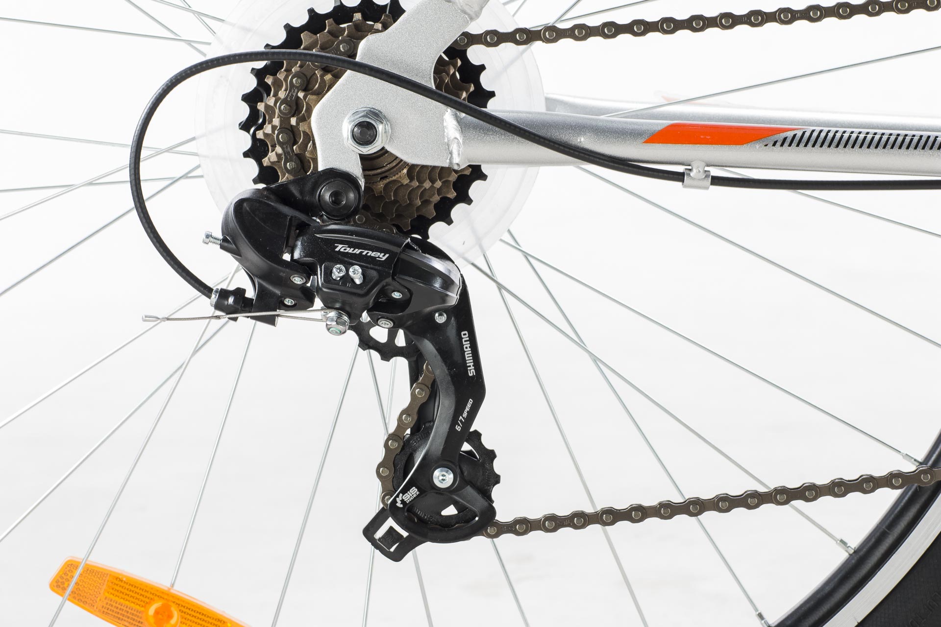 Lince detalles WEB-2