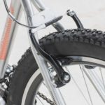 Lince detalles WEB-21