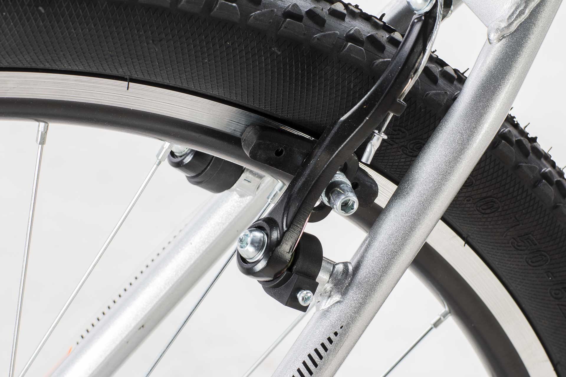 Lince detalles WEB-3