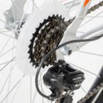 Lince detalles WEB-5