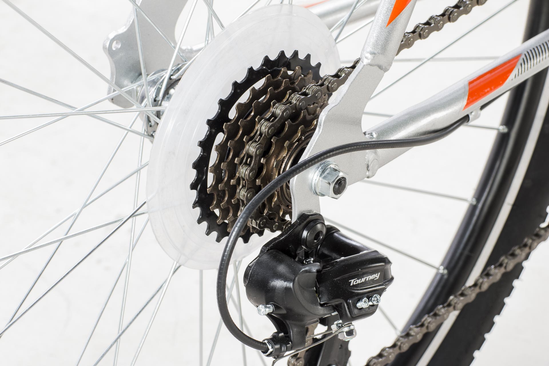 Lince detalles WEB-5