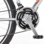 Lince detalles WEB-7