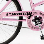 COUNTRY-ROSA-DETALLES-BAJA-DSC3657