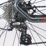 Gazelle Detallas BAJA00002