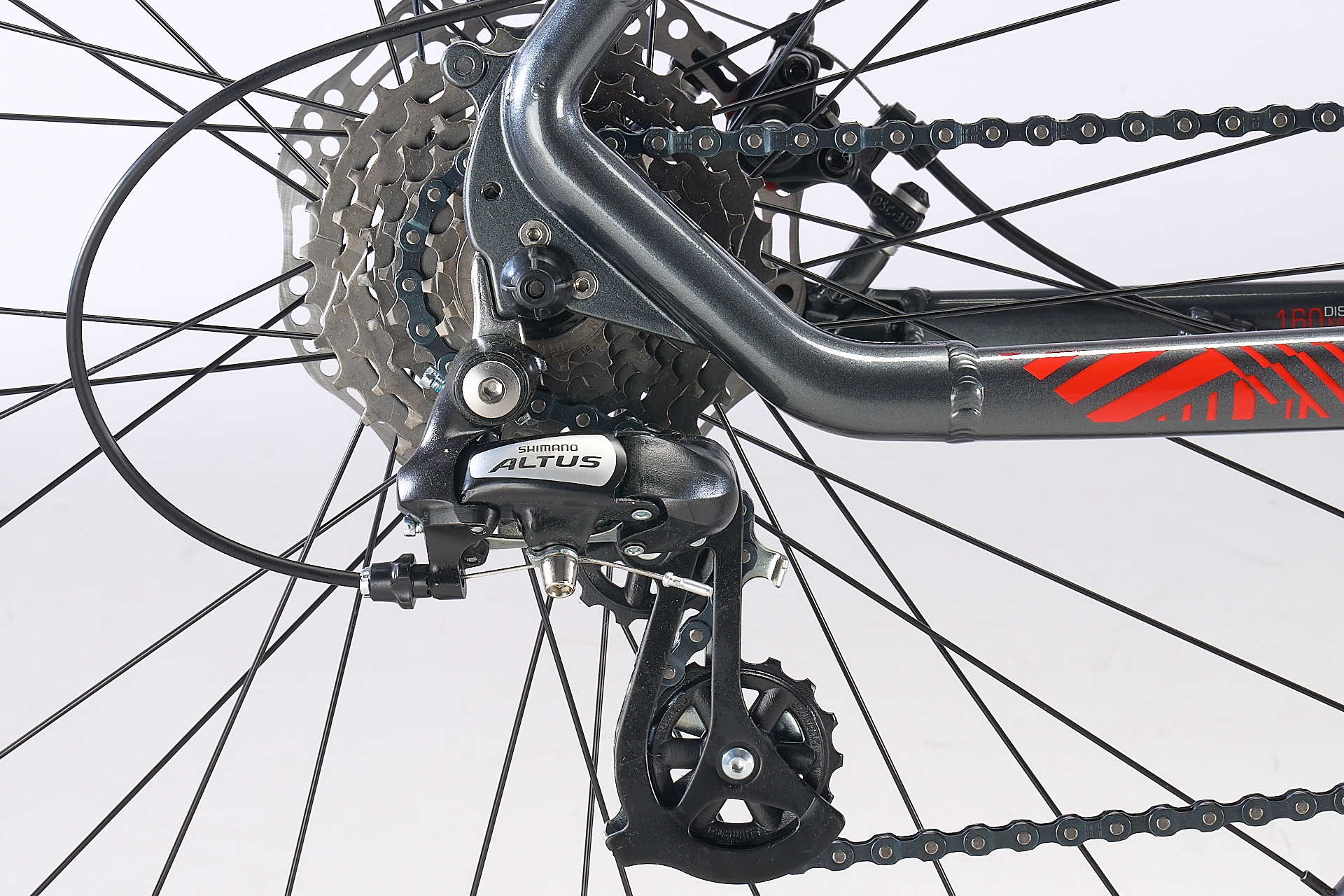Gazelle Detallas BAJA00002