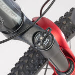 Gazelle Detallas BAJA00014