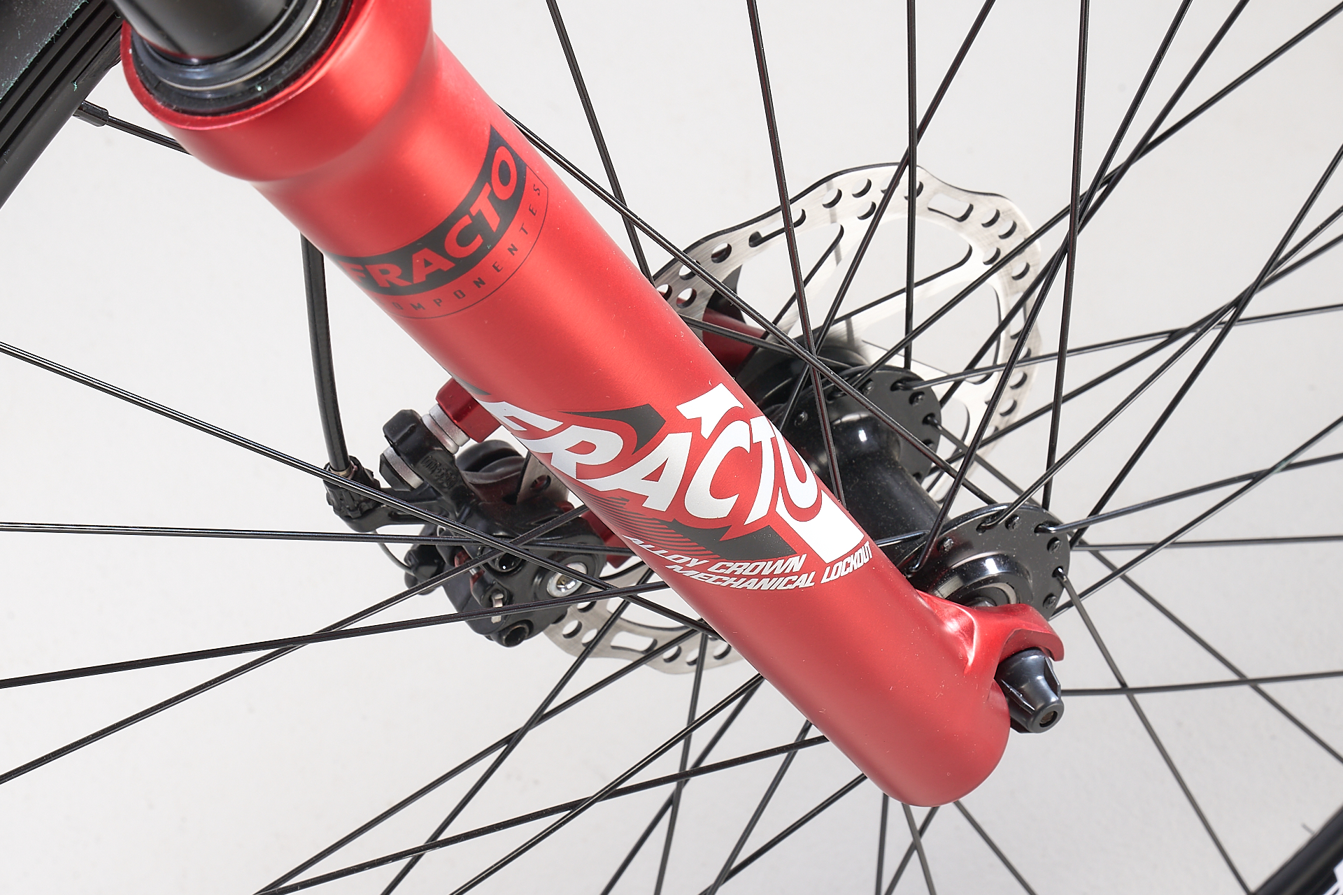 Gazelle Detallas BAJA00016