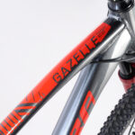 Gazelle Detallas BAJA00019