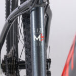 Gazelle Detallas BAJA00039