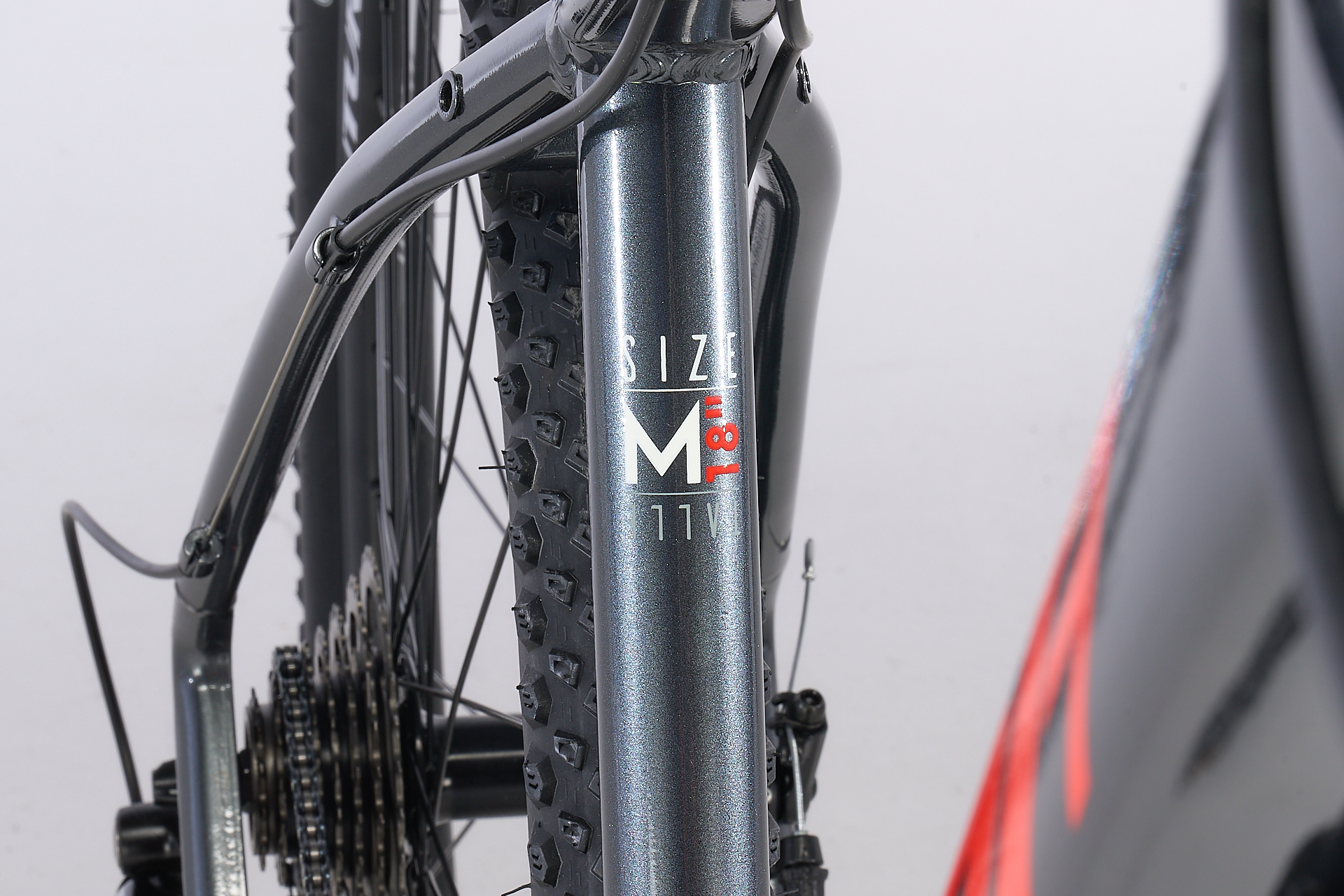 Gazelle Detallas BAJA00039