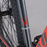 Gazelle Detallas BAJA00056