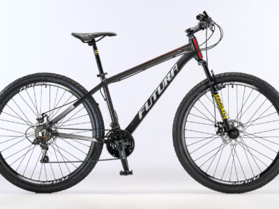 Bicicleta MTB Modelo LYNCECOMP R.29" Gris Plomo
