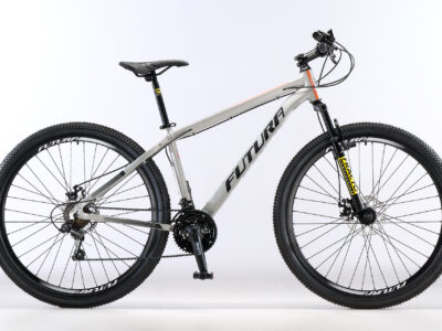 Bicicleta MTB Modelo LYNCECOMP R.29" Gris Claro (matte)